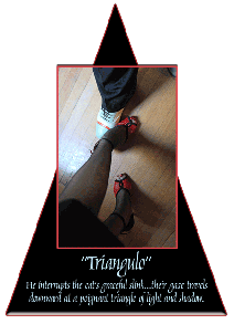 Triangulo5502_OPT1.gif