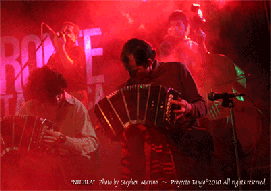 REBECCA_NIEBLA_photo.png