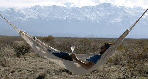 Enology